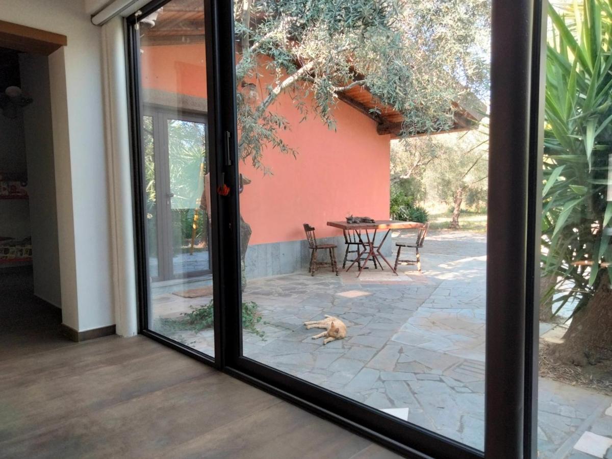 Cuntarati Nature Tourism - Simeto Etna Bronte Exterior photo