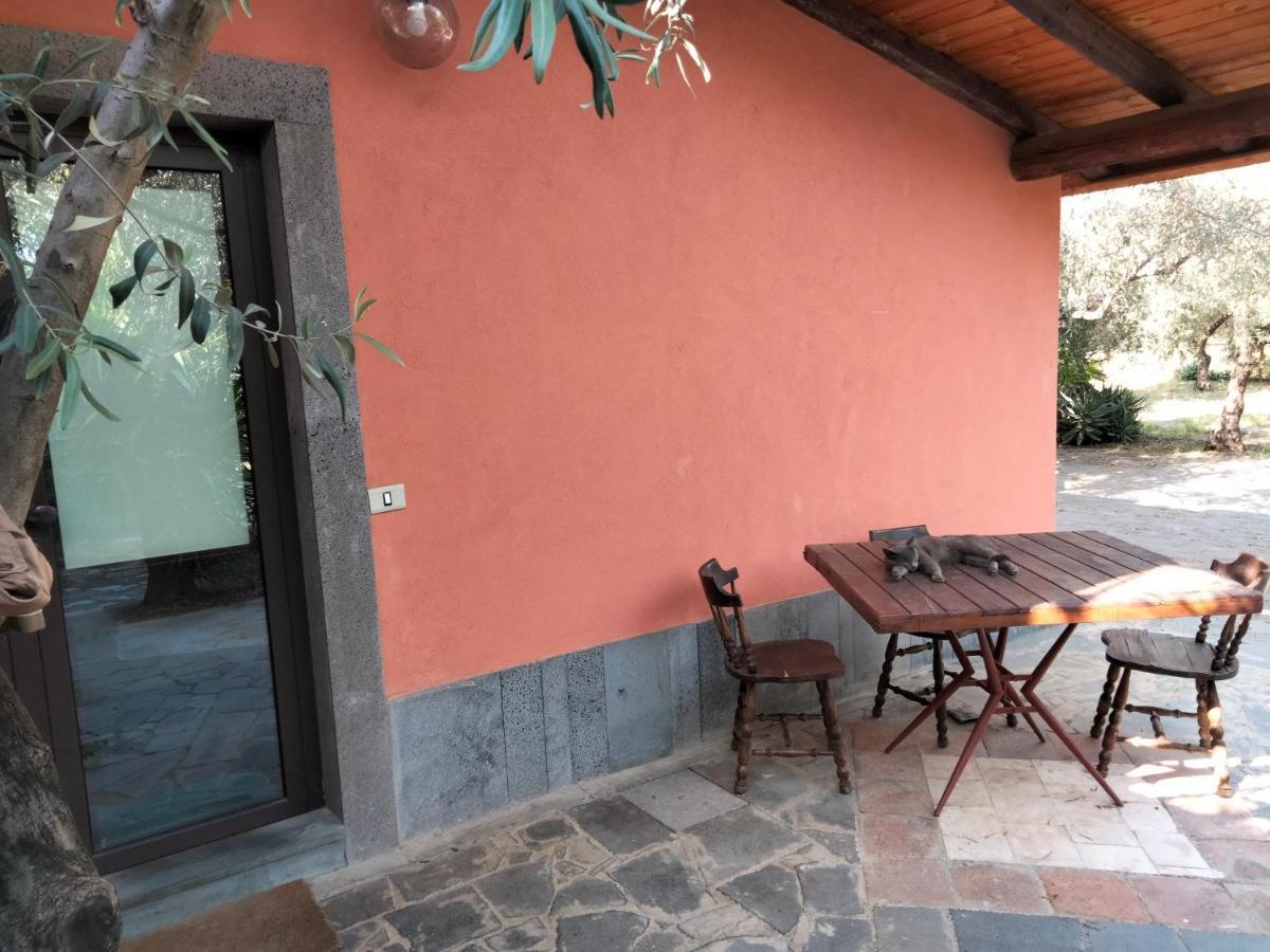 Cuntarati Nature Tourism - Simeto Etna Bronte Exterior photo